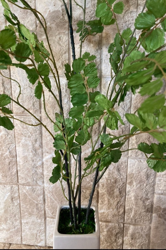 光触媒　人工観葉植物　ウンベラータグリーン　フェイク　フラワー　アジアンタム花器付 8枚目の画像