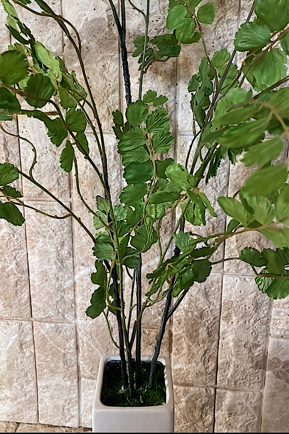 光触媒　人工観葉植物　ウンベラータグリーン　フェイク　フラワー　アジアンタム花器付 13枚目の画像