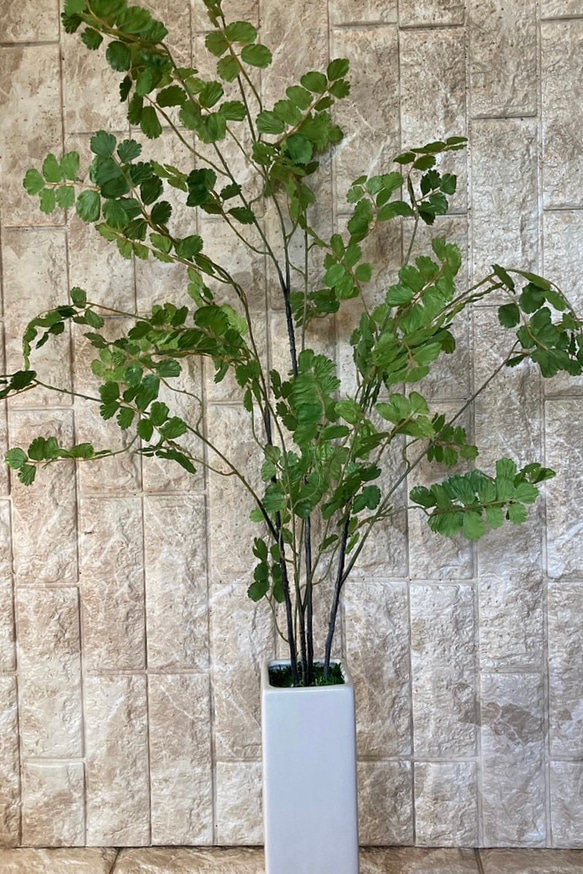 光触媒　人工観葉植物　ウンベラータグリーン　フェイク　フラワー　アジアンタム花器付 5枚目の画像