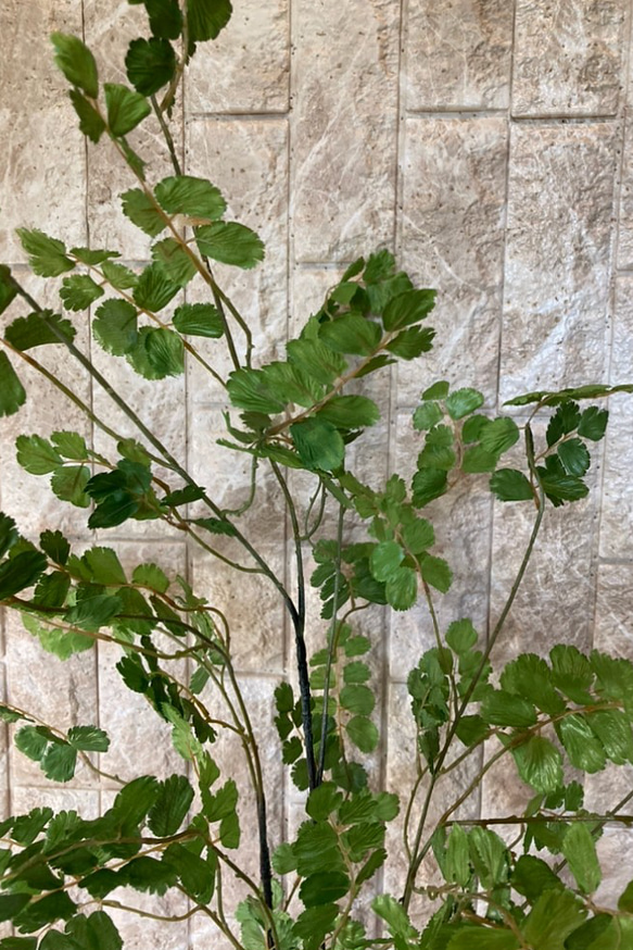 光触媒　人工観葉植物　ウンベラータグリーン　フェイク　フラワー　アジアンタム花器付 10枚目の画像