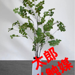 光触媒　人工観葉植物　ウンベラータグリーン　フェイク　フラワー　アジアンタム花器付 1枚目の画像
