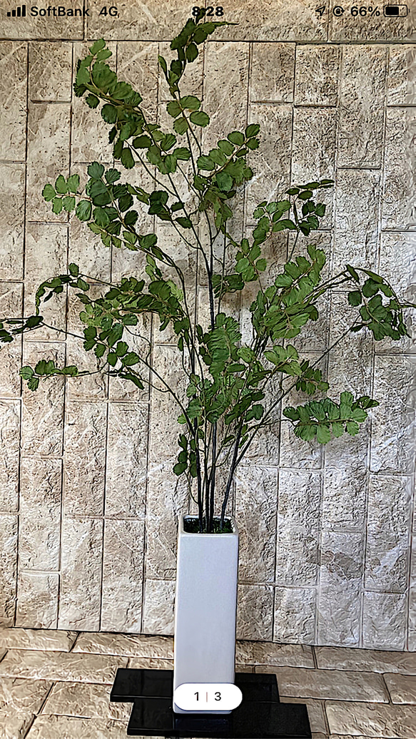光触媒　人工観葉植物　ウンベラータグリーン　フェイク　フラワー　アジアンタム花器付 12枚目の画像