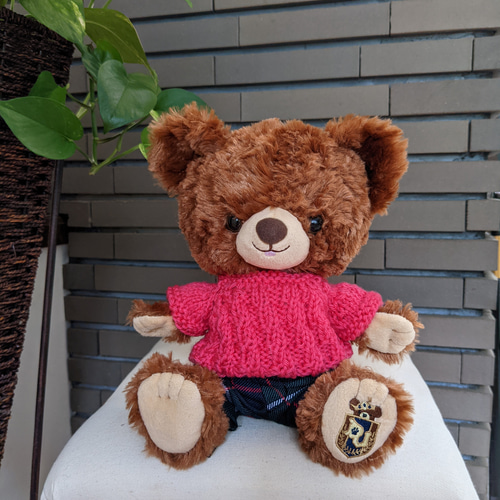 ダッフィー＆フレンズ 20周年 パジャマ　Мサイズ　新品未開封 ダッフィー＆フレンズ 20周年 パジャマ Мサイズ 新品未開封