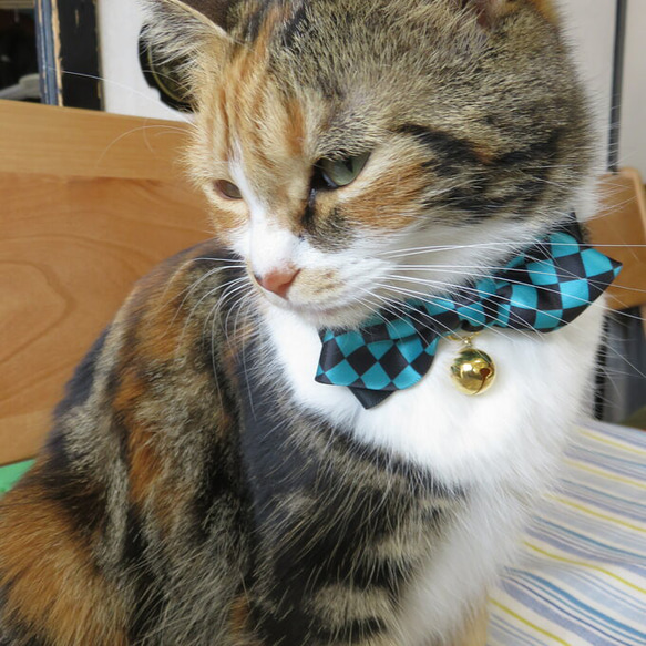 新・ 猫の首輪 ～ サテンリボン和風柄 市松模様 麻の葉 鱗柄× PPテープ日本製 4枚目の画像