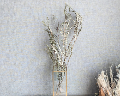 f7944cdeb84018cda8d05fae8c2b28