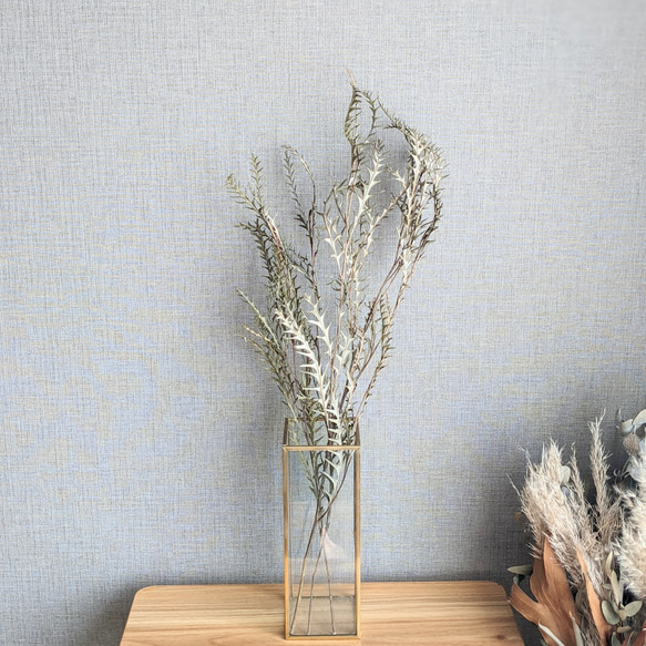 ドライフラワー ❇️グレビレアアイバンホー❣️ ドライフラワー グレビレア アイバンホー 2本セット ドライフラワー