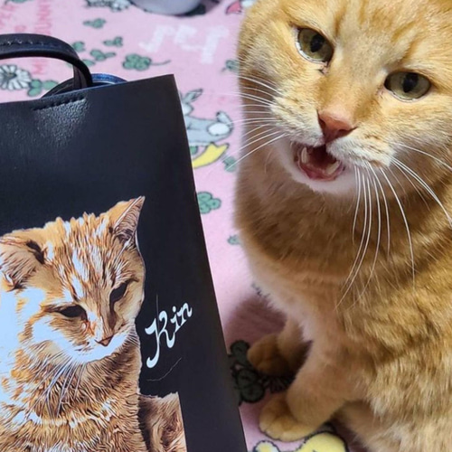 うちの子PUレザースマホショルダー】愛猫 愛犬 の お写真で 作る 完全