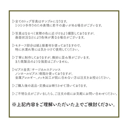 秋のお花ブローチ クラフトバンド＆ビーズ【送料無料】 12枚目の画像