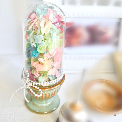 仏花 ］紫陽花 ガラスドーム プリザーブドフラワー 箱付