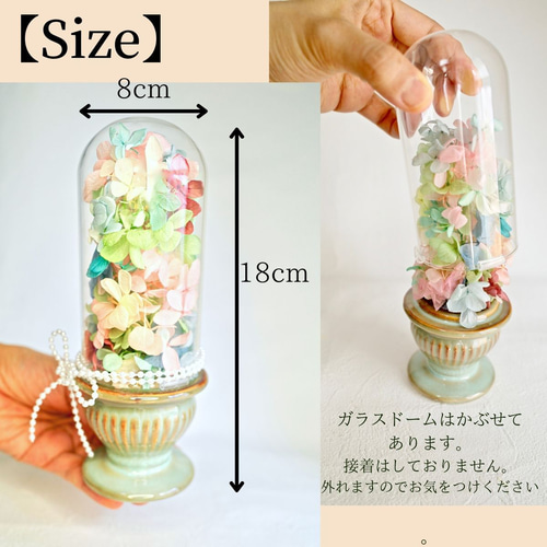 仏花 ］紫陽花 ガラスドーム プリザーブドフラワー 箱付