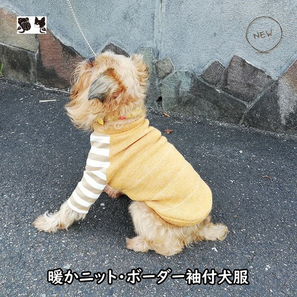 犬服オリジナル　暖かニット生地・ボーダー袖付犬服220904　#ボストンテリア　#フレンチブルドッグ 1枚目の画像