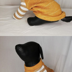 犬服オリジナル　暖かニット生地・ボーダー袖付犬服220904　#ボストンテリア　#フレンチブルドッグ 3枚目の画像