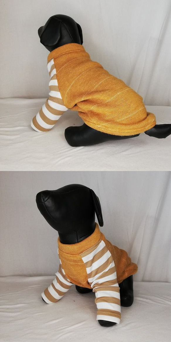 犬服オリジナル　暖かニット生地・ボーダー袖付犬服220904　#ボストンテリア　#フレンチブルドッグ 3枚目の画像