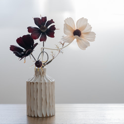 割れない花瓶】ドライフラワー風チョコレートコスモス・秋桜