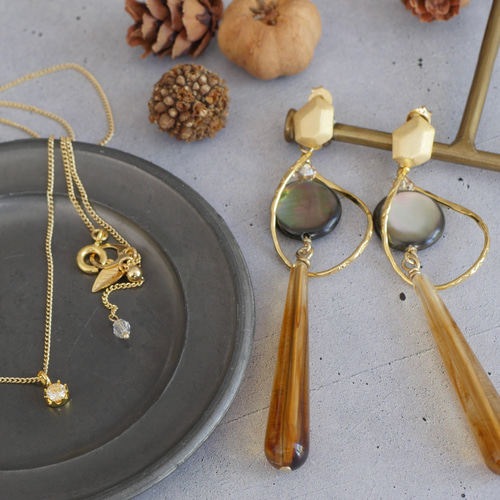 鼈甲ネックレスとピアス