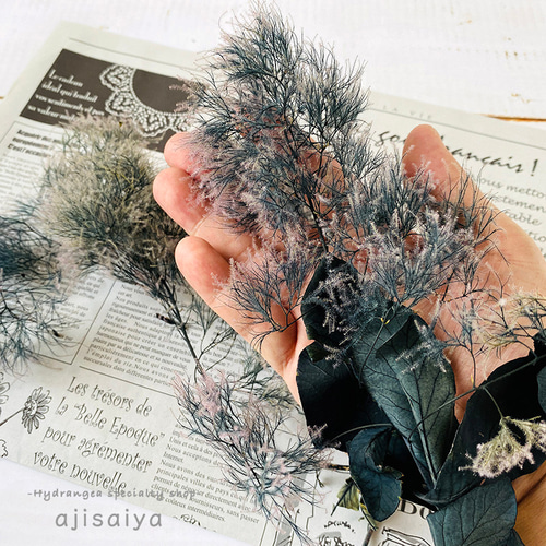 北海道産 スモークツリー ブラック 【プリザーブドフラワー