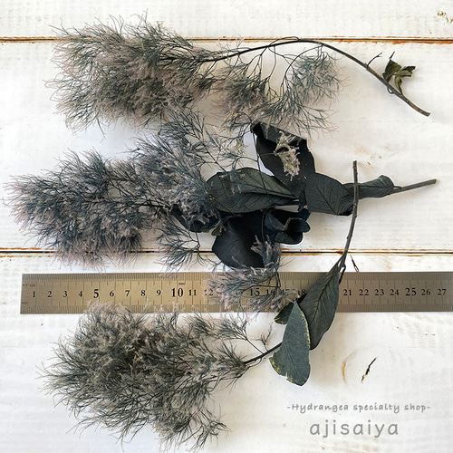 北海道産 スモークツリー ブラック 【プリザーブドフラワー】 その他