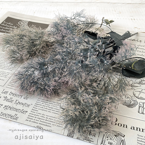 北海道産 スモークツリー ブラック 【プリザーブドフラワー