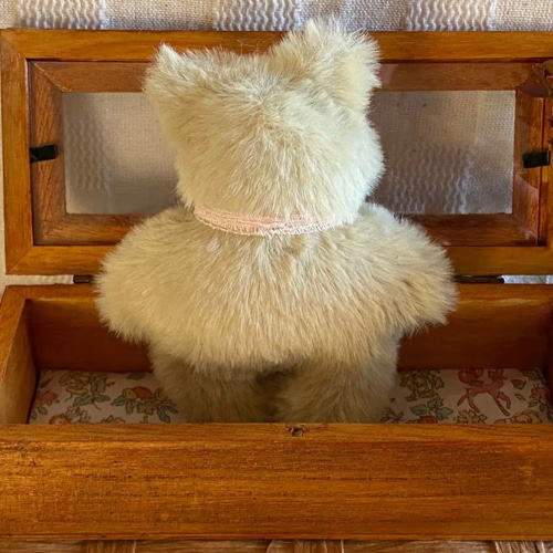 ハンドメイドぬいぐるみKiki薄緑色の猫ちゃん ☆アードドル 01