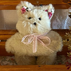 ハンドメイドぬいぐるみKiki薄緑色の猫ちゃん ☆アードドル 01