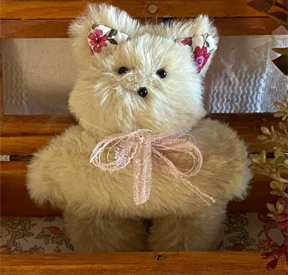 ハンドメイドぬいぐるみKiki薄緑色の猫ちゃん ☆アードドル 01