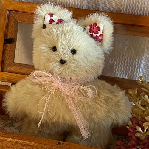 ハンドメイドぬいぐるみKiki薄緑色の猫ちゃん ☆アードドル 02