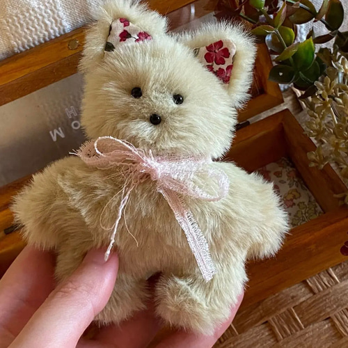 ハンドメイドぬいぐるみKiki薄緑色の猫ちゃん ☆アードドル 02