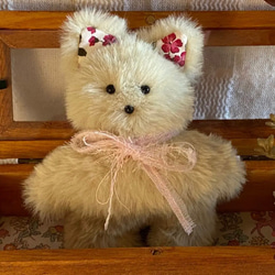 ハンドメイドぬいぐるみKiki薄緑色の猫ちゃん ☆アードドル 02