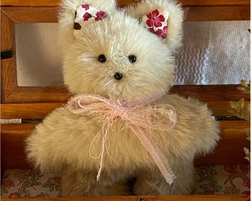 生後20日♡子猫のミルクちゃん♡ベビー♡アートドール♡ぬいぐるみ♡ 生後20日♡子猫のミルクちゃん♡ベビー♡アートドール♡ぬいぐるみ♡