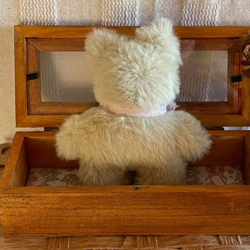ハンドメイドぬいぐるみKiki薄緑色の猫ちゃん ☆アードドル 02
