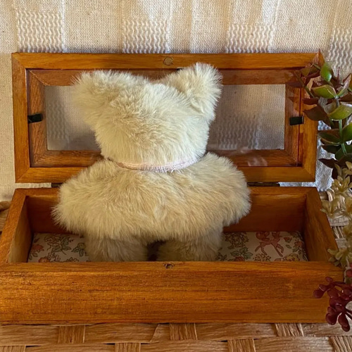 マヌル猫ちゃん♡アートドール♡ぬいぐるみ♡ハンドメイド♡ネコ