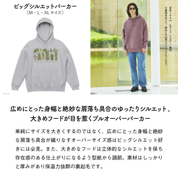 ［着る山菜］山菜図鑑パーカー（アッシュ） 10枚目の画像