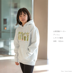［着る山菜］山菜図鑑パーカー（アッシュ） 12枚目の画像
