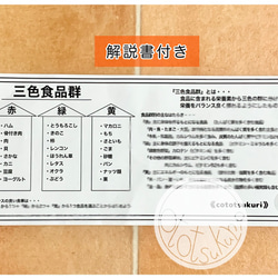 《送料込み》食育教材　マグネット式　三色食品群　『追加食材24種』※食材パーツのみです　食育グッズ 2枚目の画像