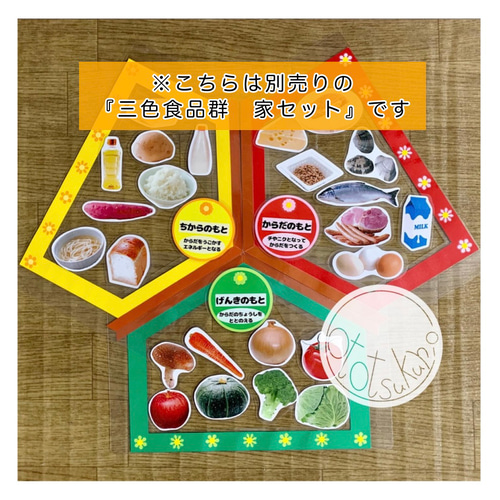 送料込み》食育教材 マグネット式 三色食品群 『追加食材24種』※食材