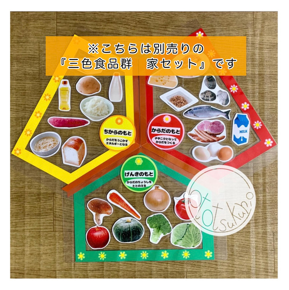 《送料込み》食育教材　マグネット式　三色食品群　『追加食材24種』※食材パーツのみです　食育グッズ 8枚目の画像