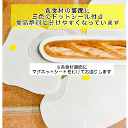 《送料込み》食育教材　マグネット式　三色食品群　『追加食材24種』※食材パーツのみです　食育グッズ 5枚目の画像