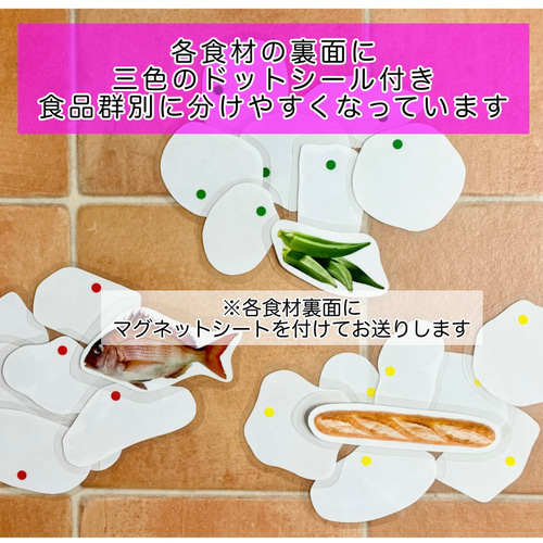 送料込み》食育教材 マグネット式 三色食品群 『追加食材24種』※食材