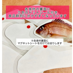 《送料込み》食育教材　マグネット式　三色食品群　『追加食材24種』※食材パーツのみです　食育グッズ 4枚目の画像