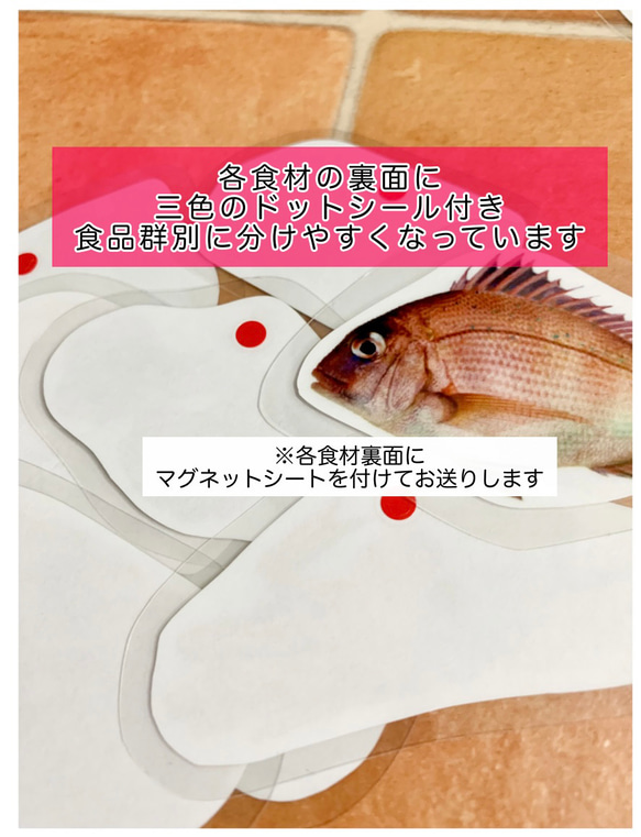 《送料込み》食育教材　マグネット式　三色食品群　『追加食材24種』※食材パーツのみです　食育グッズ 4枚目の画像