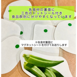 《送料込み》食育教材　マグネット式　三色食品群　『追加食材24種』※食材パーツのみです　食育グッズ 6枚目の画像