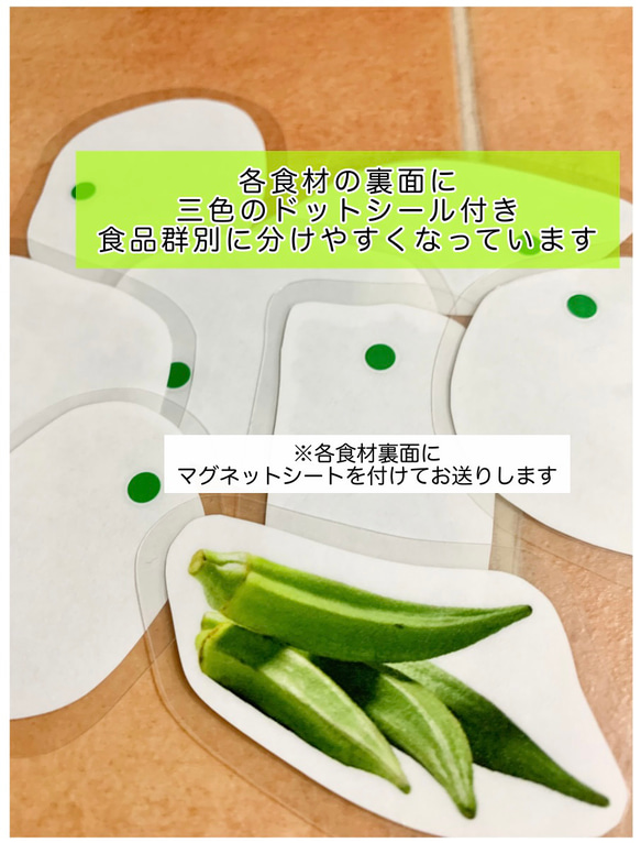 《送料込み》食育教材　マグネット式　三色食品群　『追加食材24種』※食材パーツのみです　食育グッズ 6枚目の画像