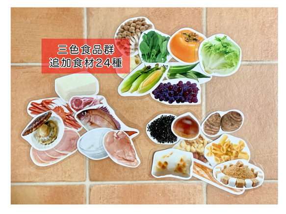 《送料込み》食育教材　マグネット式　三色食品群　『追加食材24種』※食材パーツのみです　食育グッズ 1枚目の画像