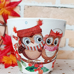 【406】リメイク鉢☆(ふくろう)Ｍサイズ２個・Ｓサイズ２個セット イチゴ リメイク鉢2,5号 3個セット 多肉植物 taniku－maruko 通販