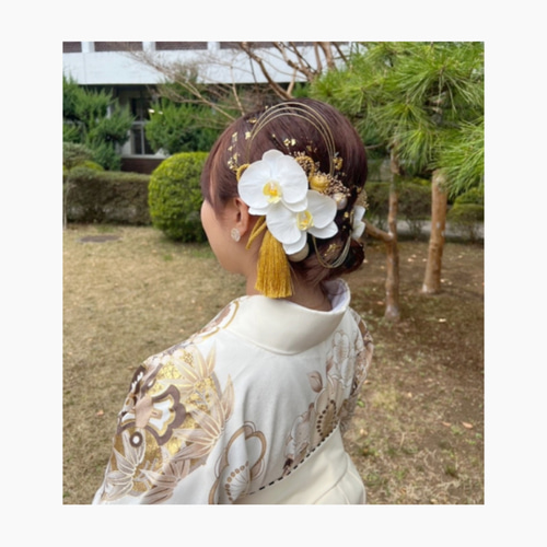 髪飾り成人式 髪飾り和装 卒業式 胡蝶蘭 胡蝶蘭髪飾り 結婚式 白 髪飾り成人式 髪飾り和装 卒業式 胡蝶蘭 胡蝶蘭髪飾り 結婚式 白