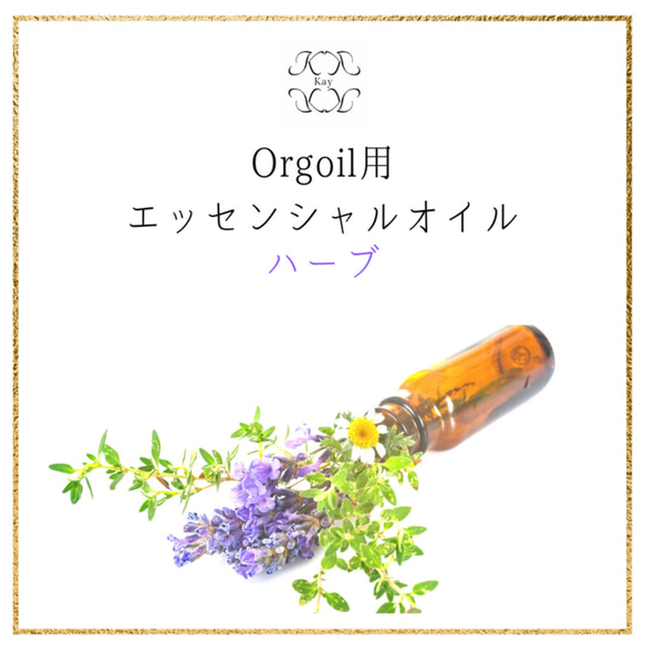 ハーブ　Orgoil 光波動ネックレス用エッセンシャルオイル 1枚目の画像