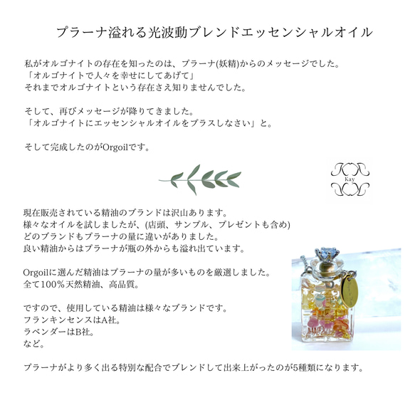 柑橘　Orgoil 光波動ネックレス用エッセンシャルオイル 3枚目の画像