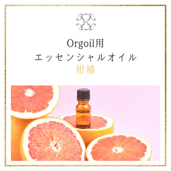 柑橘　Orgoil 光波動ネックレス用エッセンシャルオイル 1枚目の画像