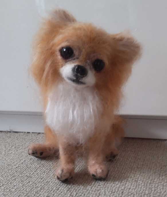 羊毛フェルト　ロングコートチワワ ✨💗羊毛フェルト🐶ロングコートチワワ💗犬No.00の通販 by
