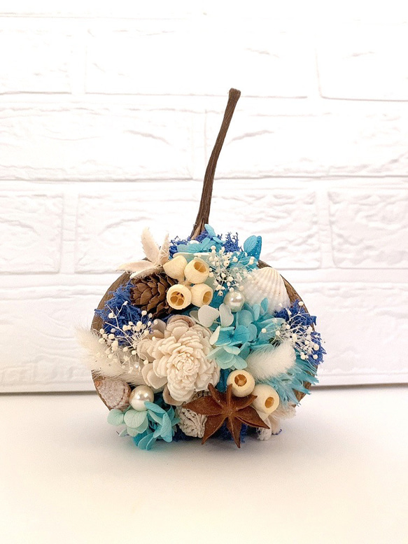 幸せのブッダナッツ＊ブルーシェル ドライフラワー ＊petit bonheur